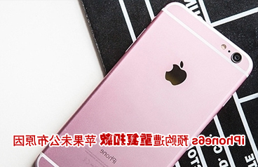 iPhone6s预购遭遇重复扣款 苹果未公布原因